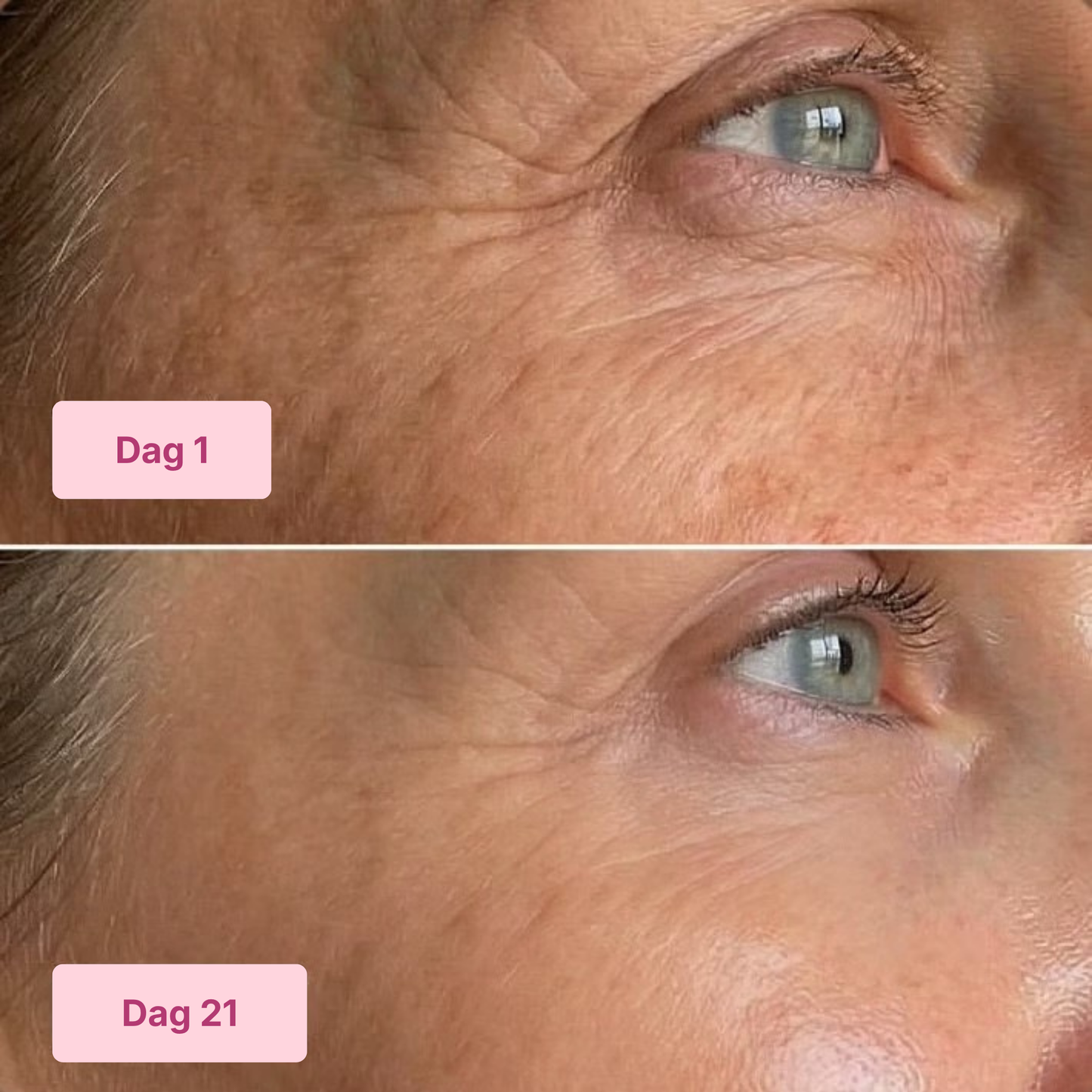 Triple Collagen Toner